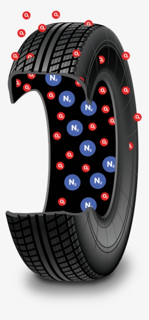 Benefits Of Nitrogen - Nitrogen #178869