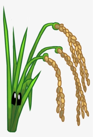 Rice - Rice Plant Png #179746