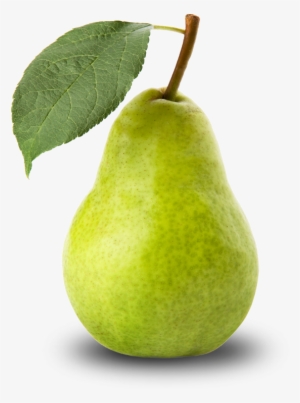Free Icons Png - Chikorita Is A Pear #179749