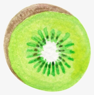 Hand-painted Watercolor Bizarre Fruit Cut Transparent - Kiwifruit #179804