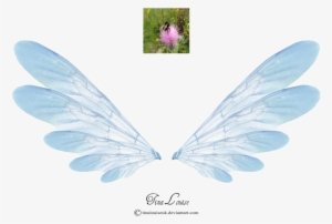 Graphic Black And White Stock Wing Transparent Fairy - Pink Wings Dragon Nest M #179973