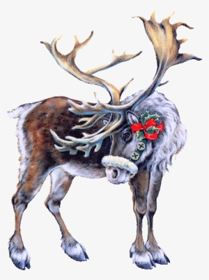 Santa Claus's Reindeer - Tubes Noel #1700054