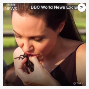 Angelina Jolie Cuisinant Des Insectes Au Cambodge Avec - Angelina Jolie Mangia Ragni #1700124
