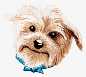 Doggy Drawing Yorkie Png Freeuse Library - Companion Dog #1700749