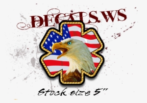 Star Of Life Eagle - Club America 2010 #1701328