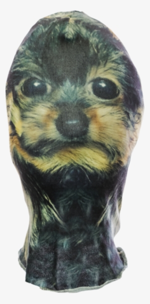 Yorkie Mask - Ferret #1701385