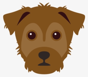 Yorkshire Terrier #1701648