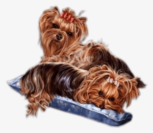 Yorkie Clip Art By Vicky Oliver - Yorkshire Terrier #1701745