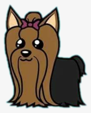 Yorkie Yorkielove Yorkiepuppy Perroyorkie Dog Perro - Dog #1701770