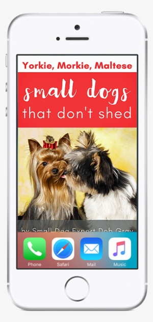 Yorkies, Morkies, Maltese - Biewer-york Round Ornament #1701795