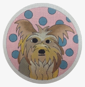 Yorkshire Terrier #1701804