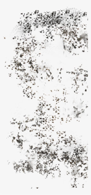 Swarm Of Flies - Monochrome #1701902