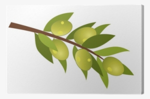 Vector Olive Branch With Olives Canvas Print • Pixers® - Zeytin Dalı Vektörel Png #1701903