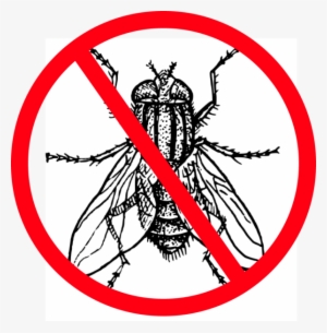 Faire Mouche - Housefly Black And White #1702123