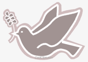Dove With An Olive Branch In Its Mouth Royalty Free - Pomba Espirito Santo Vetor Png #1702125