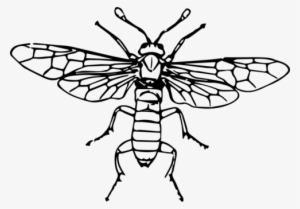 Fly Sawflies Insect Computer Icons - Sawfly Clipart #1702241