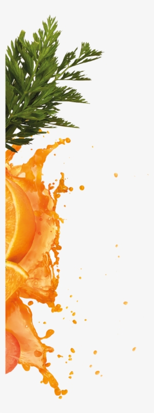 Orange & - Valencia Orange #1702376