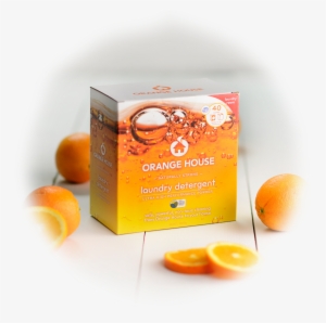 Powder Laundry Detergent #1702447