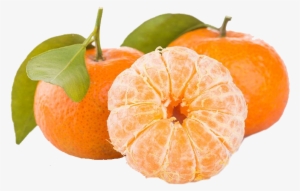 Oranges - Fruta Es Tangerine #1702474