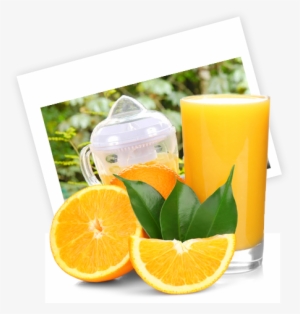 Does Your Address Change Through The Year Do You Wish - Oyo 2827 Hotel Aditya #1702865