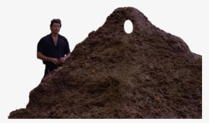 Jurassic Park #1702888 Jurassic Park #1702888