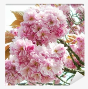 يا أجمل الناس #1703481