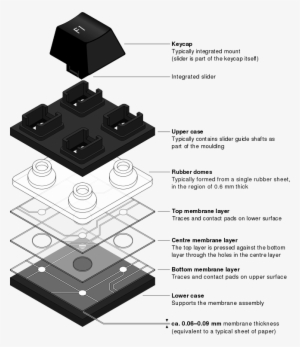 Rubber Dome Over Membrane, Exploded - Membrane With Rubber Dome #1703906