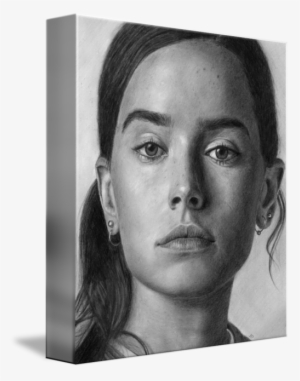 Daisy Ridley Pencll Drawing Portrait By David Rives - Drawing #1704848