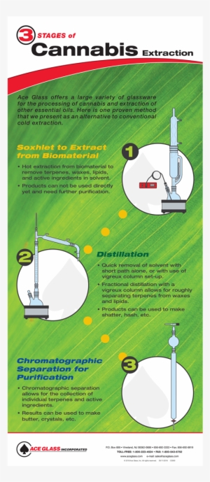 14 May - Paper #1705135