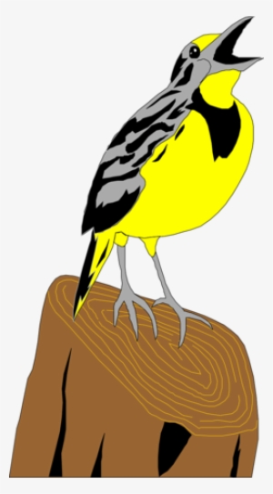 Meadowlark Cartoon #1705694