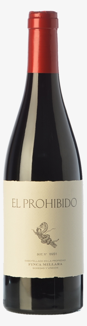 El Prohibido 2016 - Tanuki Bob 2015 #1706448