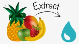 Gota 12 Aug 2016 - Expect The Best Rectangle Magnet #1706467