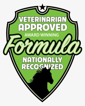 Dio Helps Bring Horses Back After Injury And Get Ready #1706797