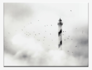 The Fog - Monochrome #1708347