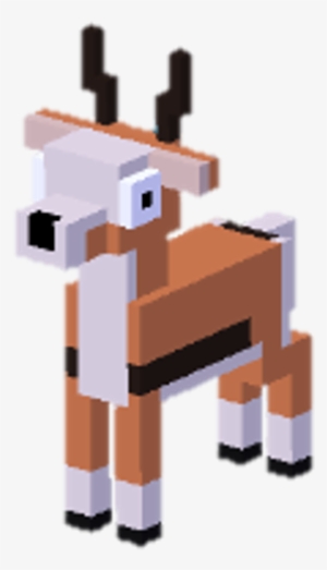 Gazelle - November 18 #1709412