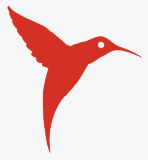 Jpg Free Library Hummingbird Clipart Flower Tattoo - Ushuaia Ibiza Logo Bird #1709619