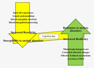 A Conceptual Overview Of Effects Of Reactivity And - Diagram #1710222