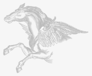 Perseus Drawing Pegasus Banner Transparent Stock - Sketch #1710404