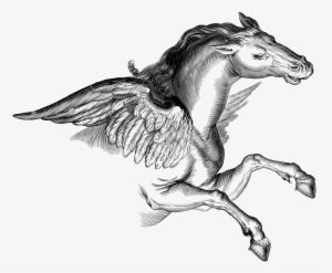 Web Version Full Resolution (png - Pegasus Png #1710581