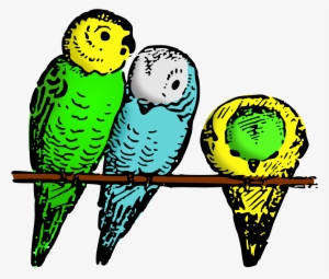 Parakeet Clipart Transparent - Parakeet Clipart #1710614