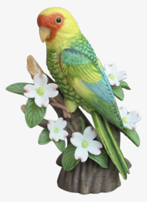 Budgie Drawing Carolina Parakeet - Lenox Figurine #1710840
