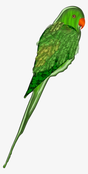 Parrot Png #1710887