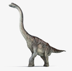 Brachiosaurus Png Pic - First Fact Dinosaurs (first Facts) #1711494
