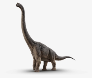 Brachiosaurus - Jurassic World Fallen Kingdom Dinosaurs #1711540