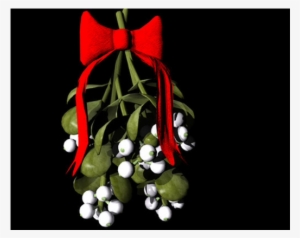 They De Custom Of Kissing Under The Mistletoe #1711570