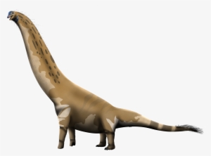 Camarasaurus Png #1711572 Camarasaurus Png #1711572