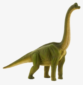 small brachiosaurus