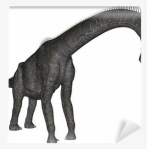 Brachiosaurus Anatomy Model - Brachiosaurus - Free Transparent PNG ...