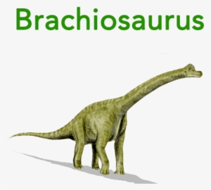 Baby Mozart Abc Flashcard For Children - Dinosaurs Lived In The Triassic Period #1712010