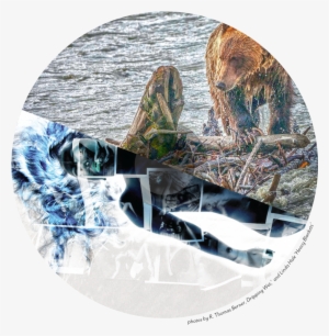 Art At The End Of The Lens Photography Show - Wakeboarding #1712128